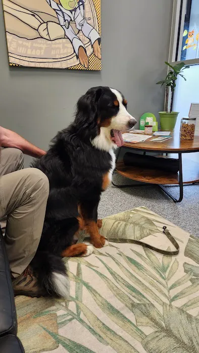 PetVet365 Pet Hospital Pittsburgh/Wilkins Township Picture 8