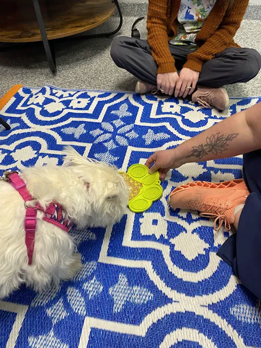 PetVet365 Pet Hospital Pittsburgh/Wilkins Township Picture 7