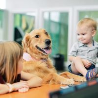 PetVet365 Pet Hospital Pittsburgh/Wilkins Township ico