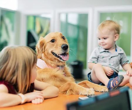 PetVet365 Pet Hospital Pittsburgh/Wilkins Township