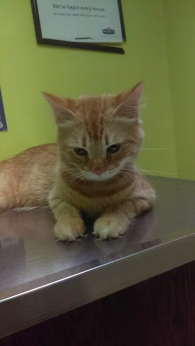 North Versailles Veterinary Care Picture 1