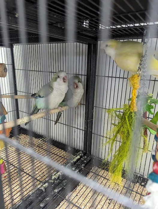Farmland Pets & Feed Picture 1