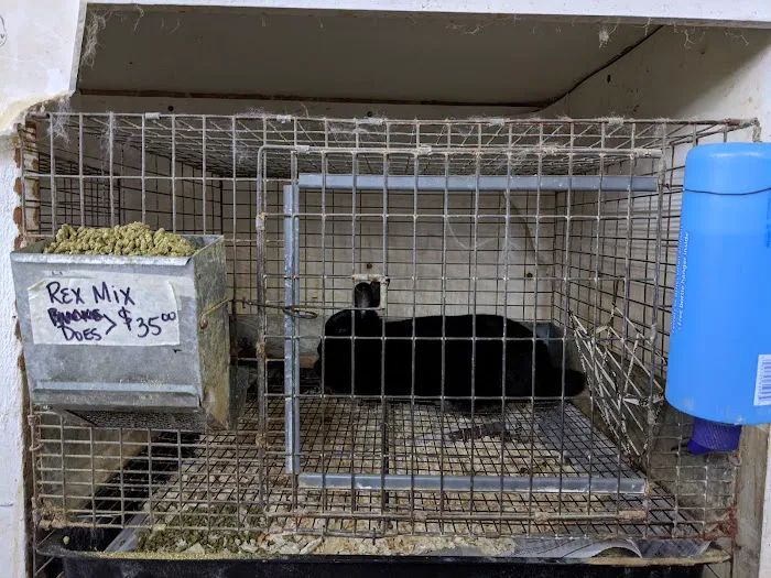 Farmland Pets & Feed Picture 10