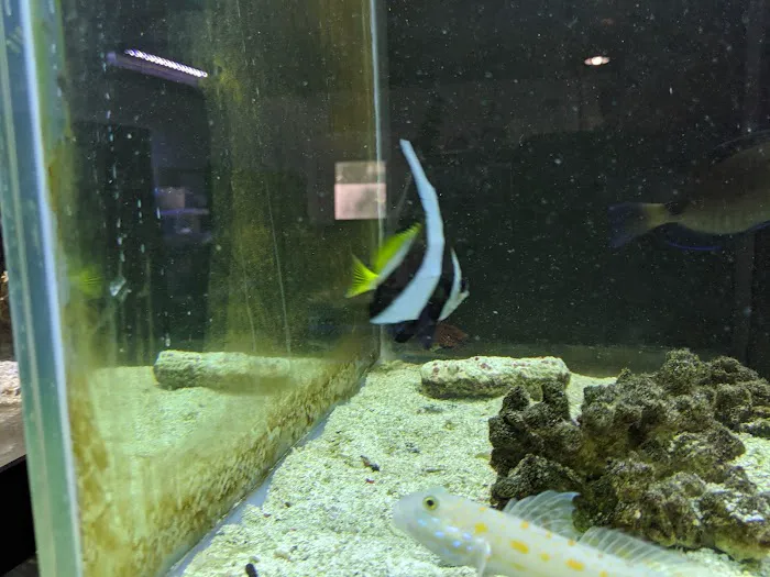 The Shark Reef Picture 4
