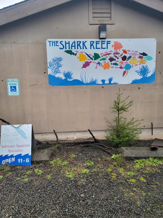 The Shark Reef Picture 9