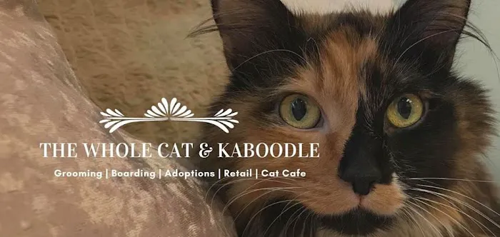 The Whole Cat and Kaboodle Picture 3