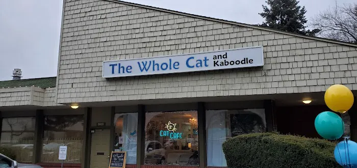 The Whole Cat and Kaboodle Picture 1