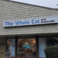 The Whole Cat and Kaboodle ico