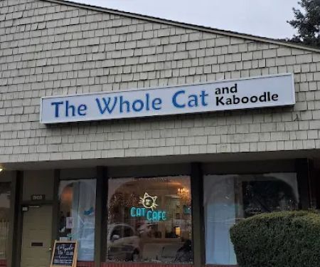The Whole Cat and Kaboodle