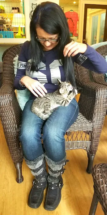 The Whole Cat and Kaboodle Picture 4