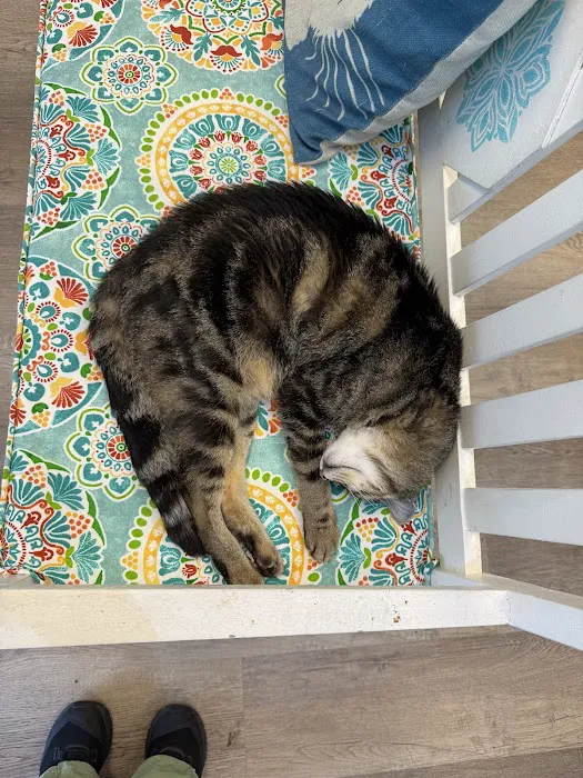 The Whole Cat and Kaboodle Picture 7