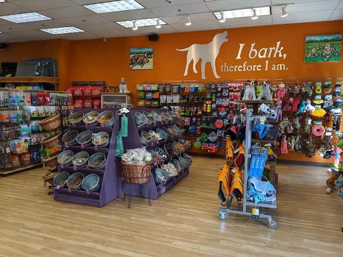 All The Best Pet Care - Redmond Picture 5
