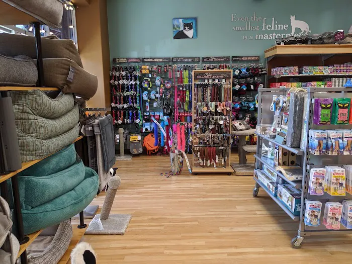 All The Best Pet Care - Redmond Picture 7