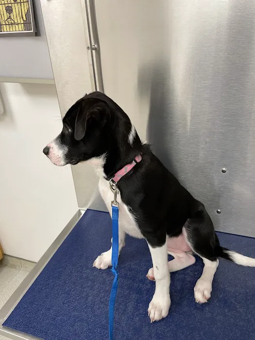 Fairmont Veterinary Hospital Picture 2