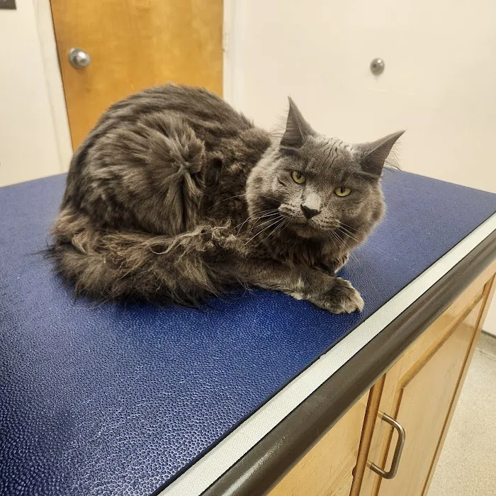 Fairmont Veterinary Hospital Picture 8