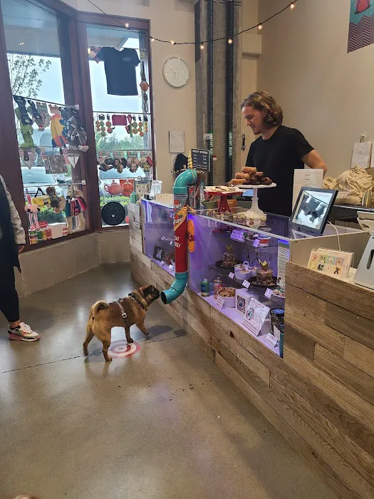 The Seattle Barkery Picture 1