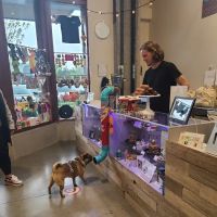 The Seattle Barkery ico