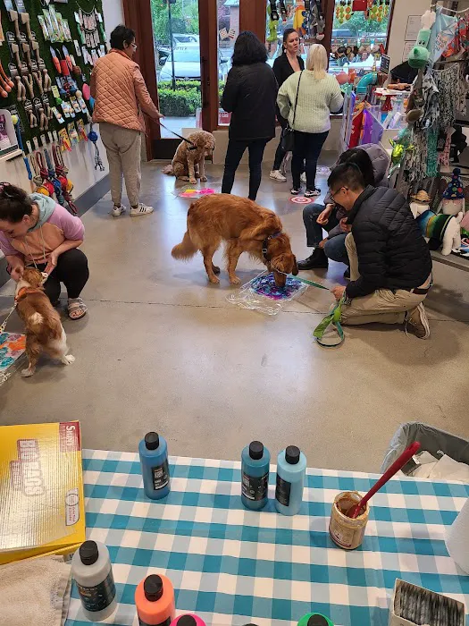 The Seattle Barkery Picture 9