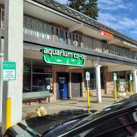 Aquarium Co-op ico