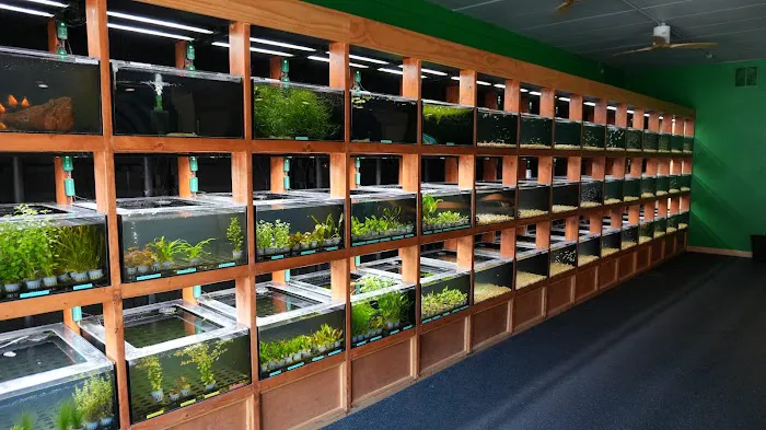 Aquarium Co-op Picture 2
