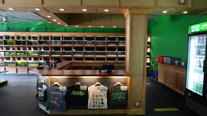 Aquarium Co-op Picture 5