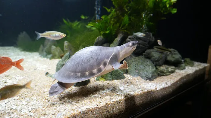 Aquarium Co-op Picture 4