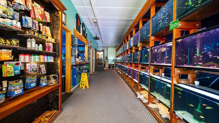 Aquarium Co-op Picture 9
