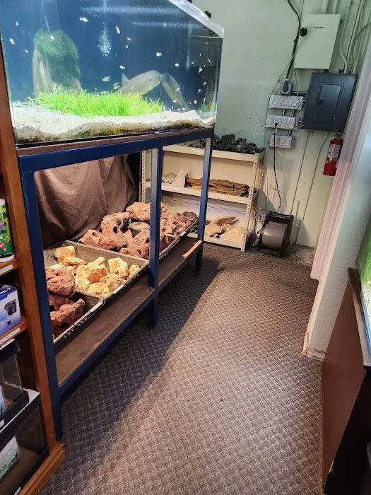 Aquarium Co-op Picture 7