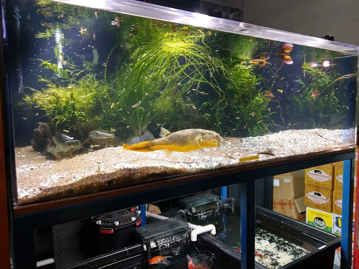 Aquarium Co-op Picture 10
