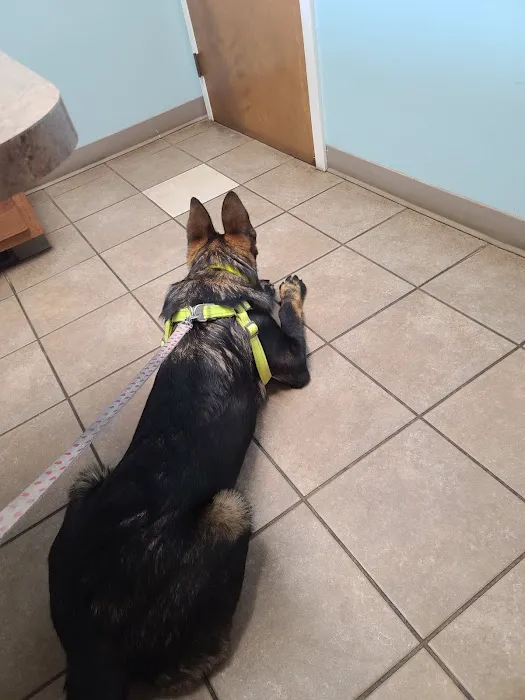Middletown Animal Clinic Inc Picture 1