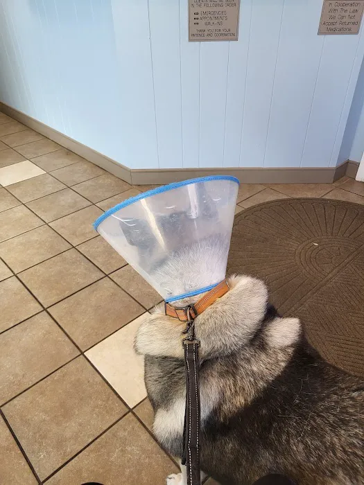 Middletown Animal Clinic Inc Picture 10