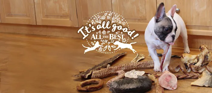 All The Best Pet Care - Edmonds Picture 2