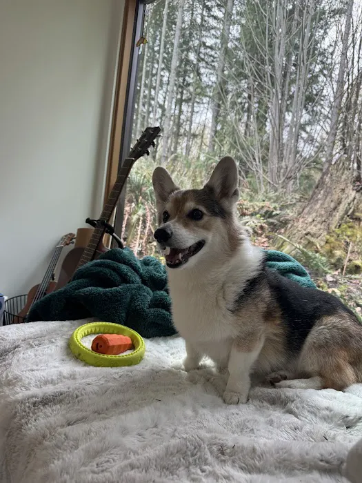Pet Wants Edmonds Picture 2