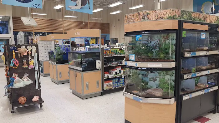 Petco Picture 5
