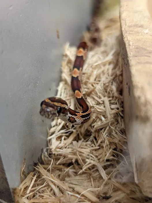 Petco Picture 2