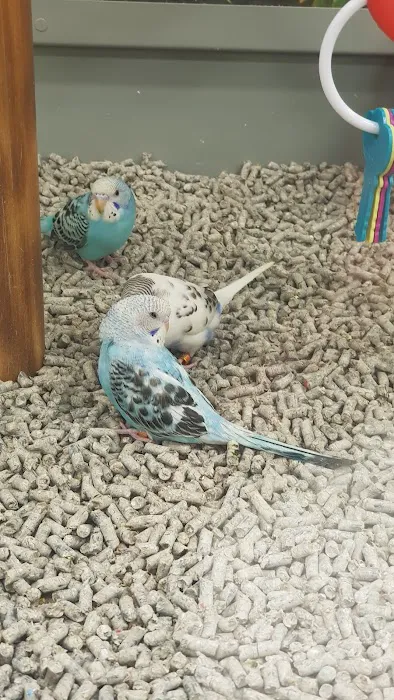 Petco Picture 7