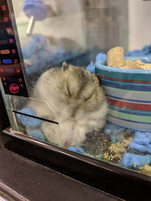 Petco Picture 10