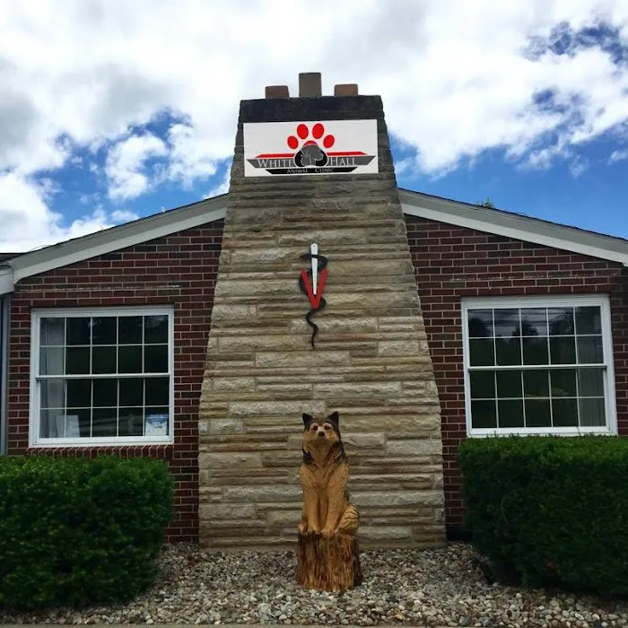 White Hall Animal Clinic Picture 3