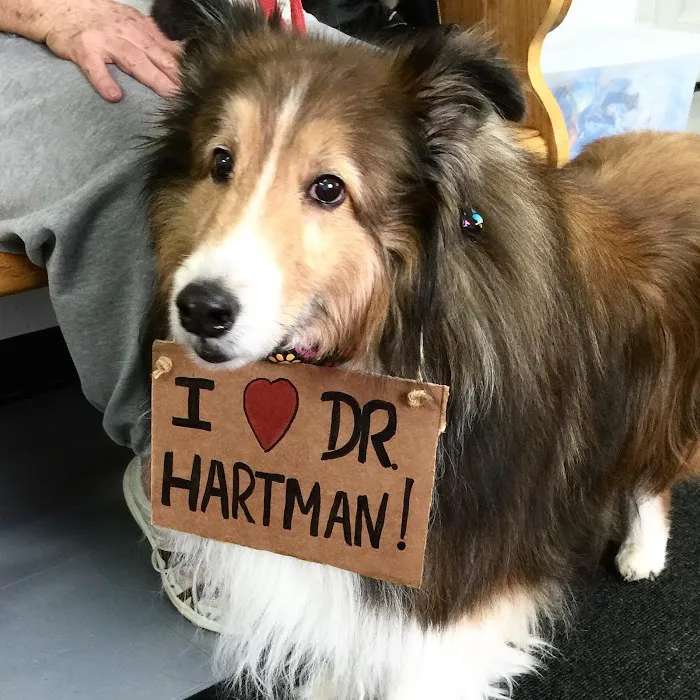 White Hall Animal Clinic Picture 8