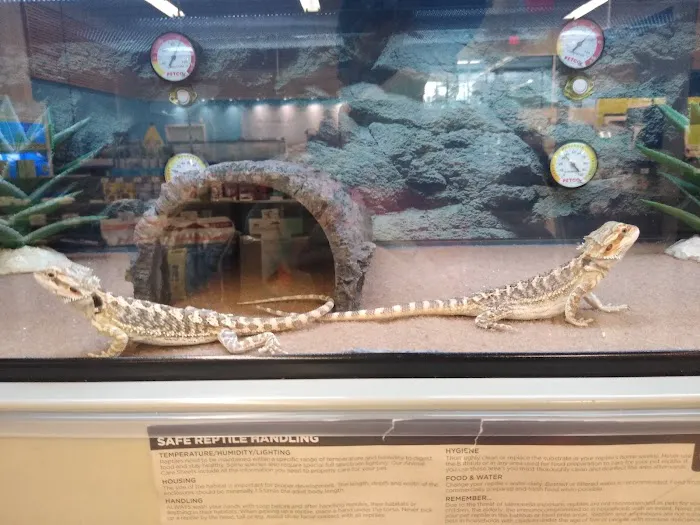 Petco Picture 4