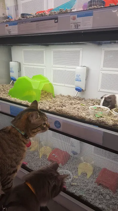 Petco Picture 7
