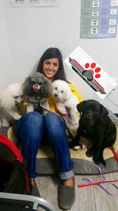 Dr. Amanda Hartman, DVM at White Hall Animal Clinic Picture 7