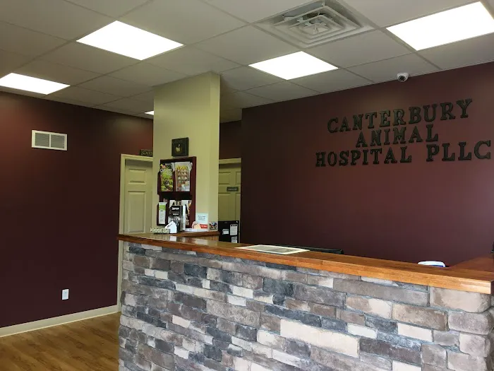 Canterbury Animal Hospital Picture 2