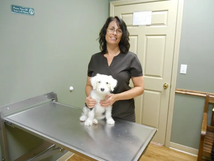 Canterbury Animal Hospital Picture 6