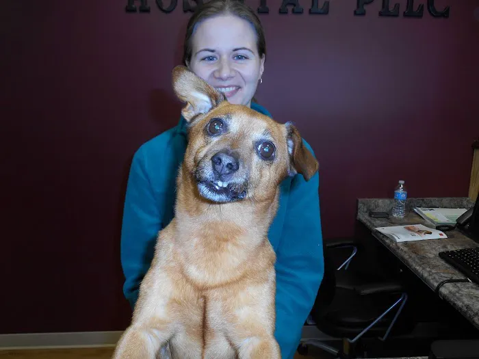 Canterbury Animal Hospital Picture 7