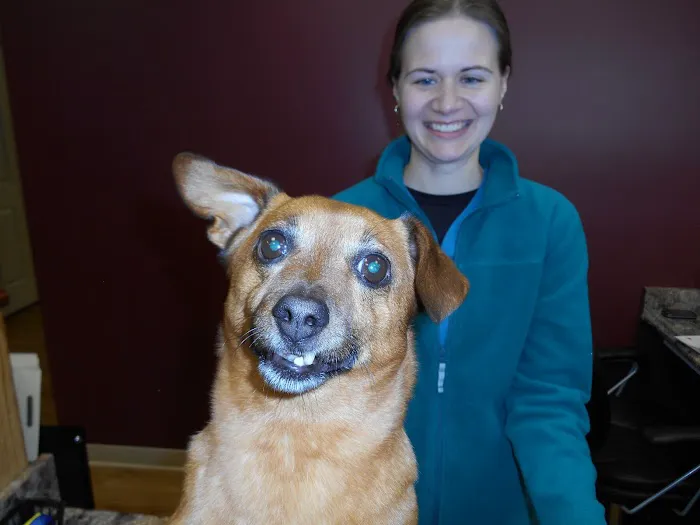 Canterbury Animal Hospital Picture 10