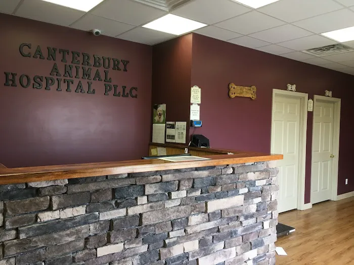 Canterbury Animal Hospital Picture 9