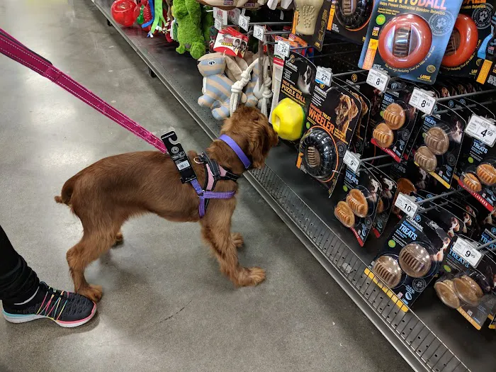 Petco Picture 2