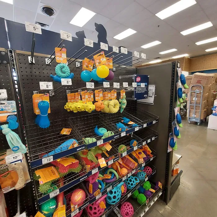 Petco Picture 4