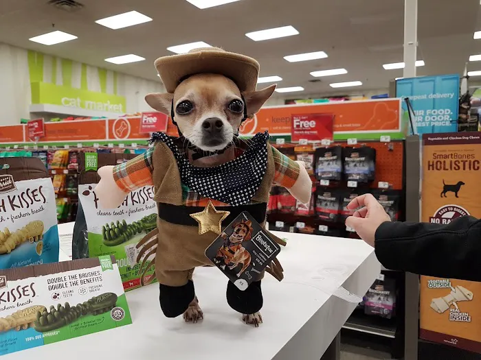 Petco Picture 5